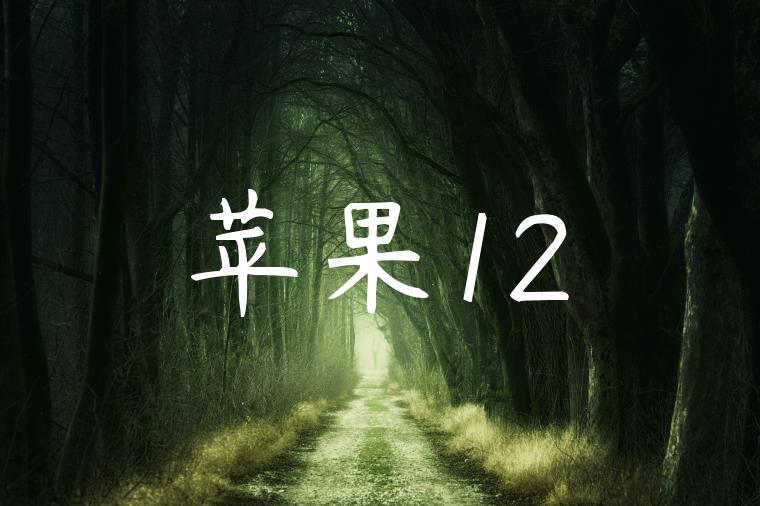 苹果12