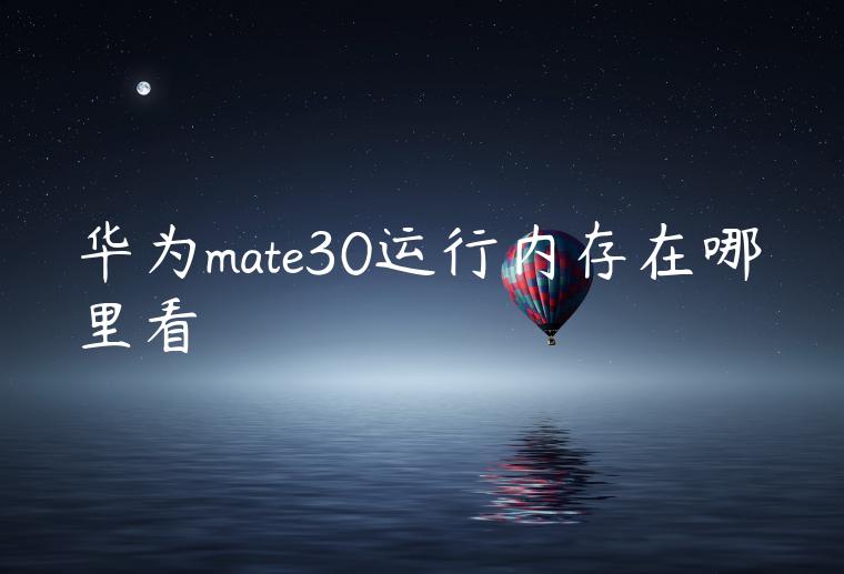 华为mate30运行内存在哪里看