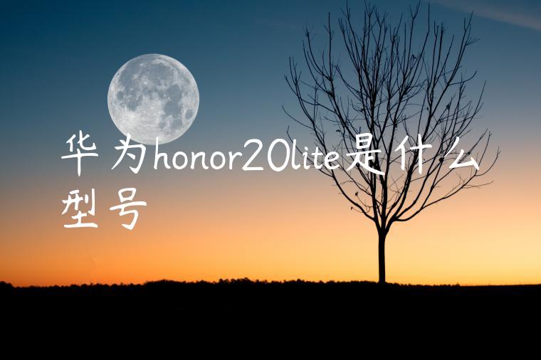 华为honor20lite是什么型号