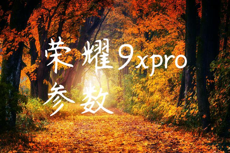 荣耀9xpro参数