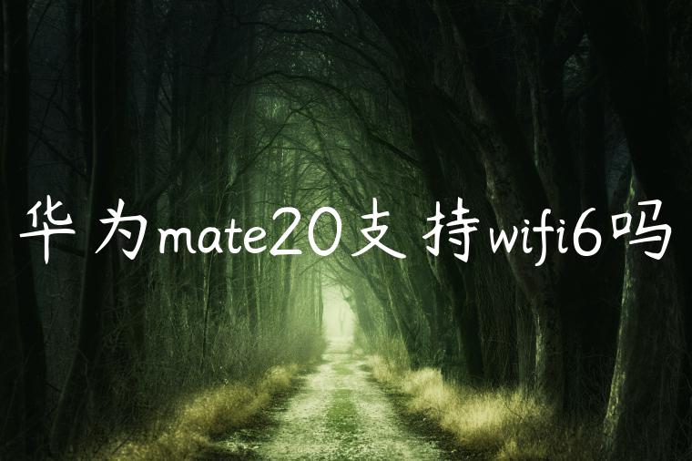 华为mate20支持wifi6吗