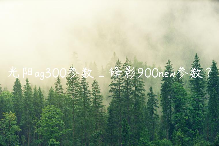 光阳ag300参数_锋影900new参数？