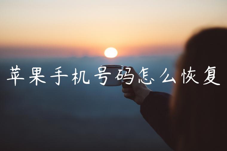 苹果手机号码怎么恢复