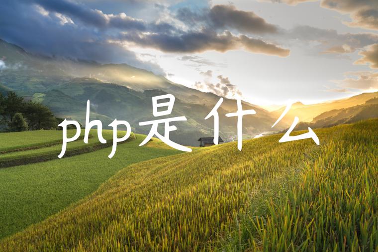 php是什么