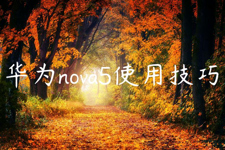 华为nova5使用技巧