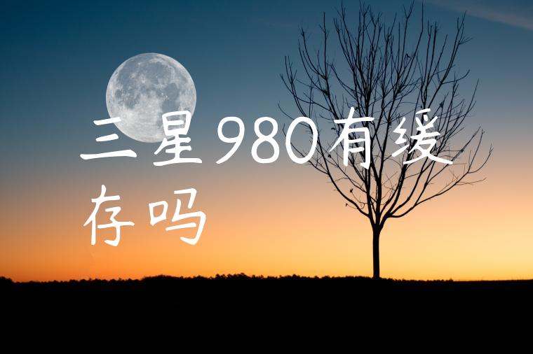 三星980有缓存吗