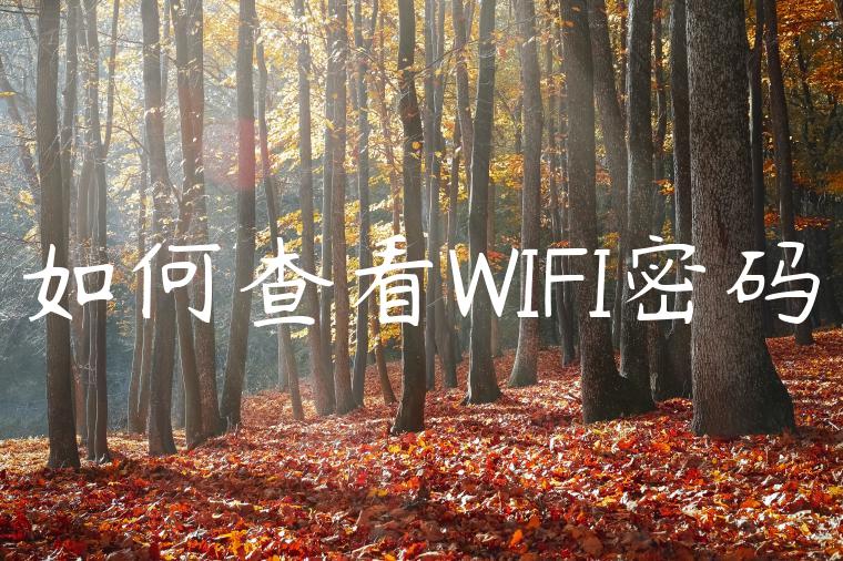 如何查看WIFI密码