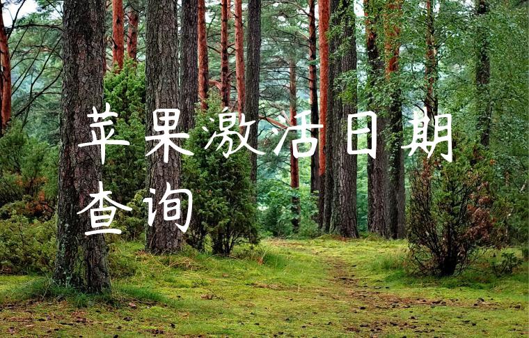 苹果激活日期查询