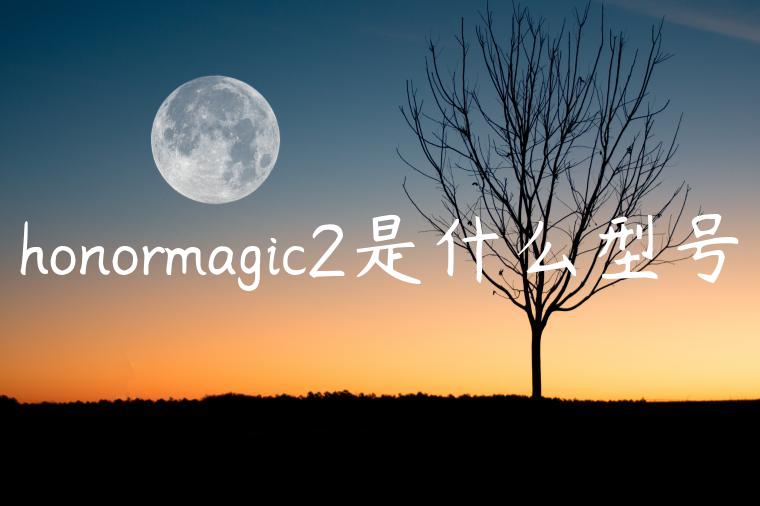 honormagic2是什么型号