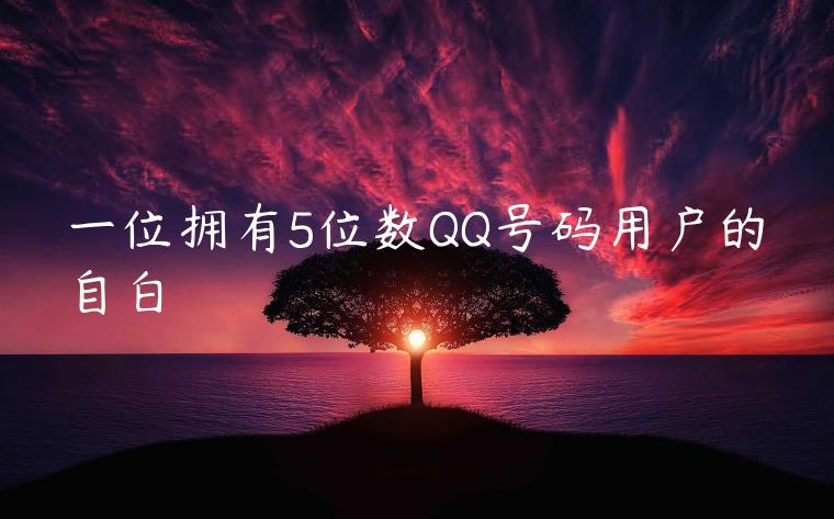 一位拥有5位数QQ号码用户的自白