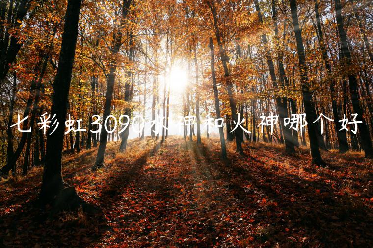 七彩虹3090水神和火神哪个好