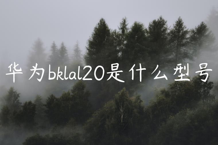 华为bklal20是什么型号