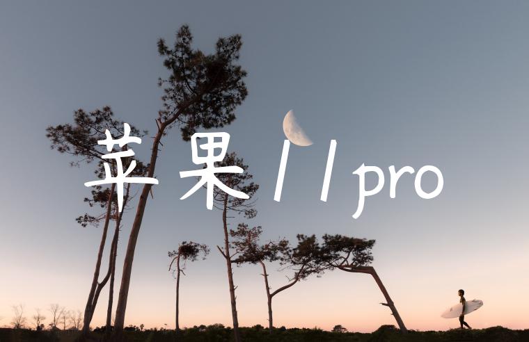 苹果11pro