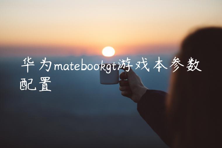 华为matebookgt游戏本参数配置