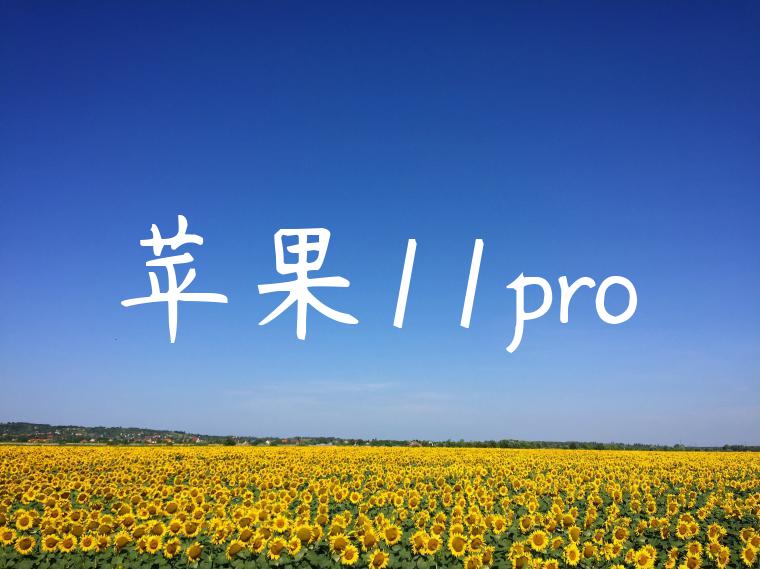 苹果11pro