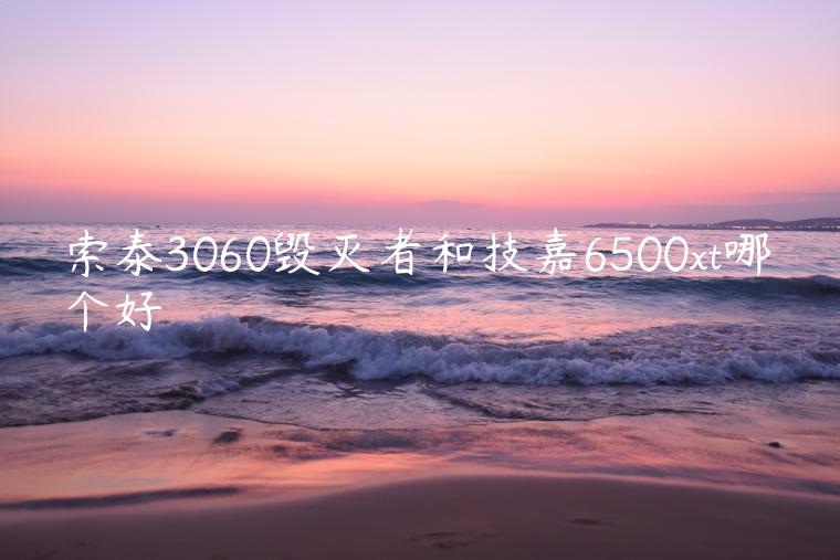 索泰3060毁灭者和技嘉6500xt哪个好