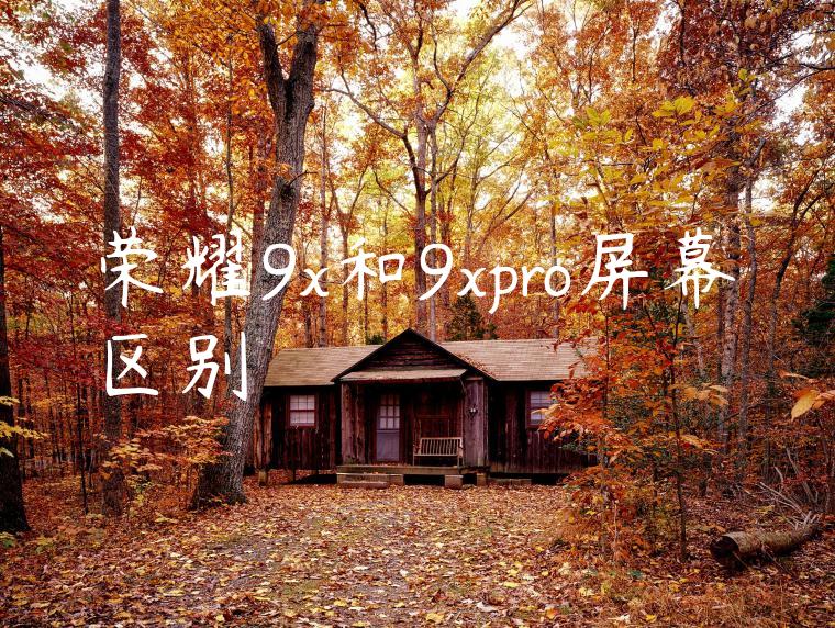 荣耀9x和9xpro屏幕区别