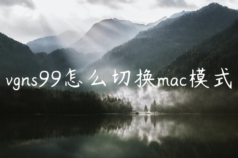 vgns99怎么切换mac模式