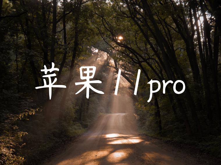 苹果11pro