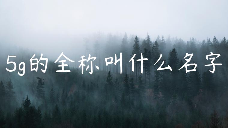 5g的全称叫什么名字