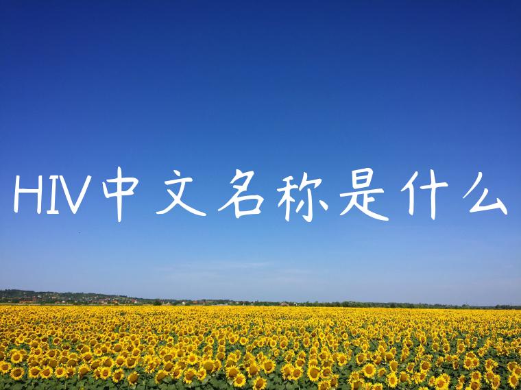 HIV中文名称是什么