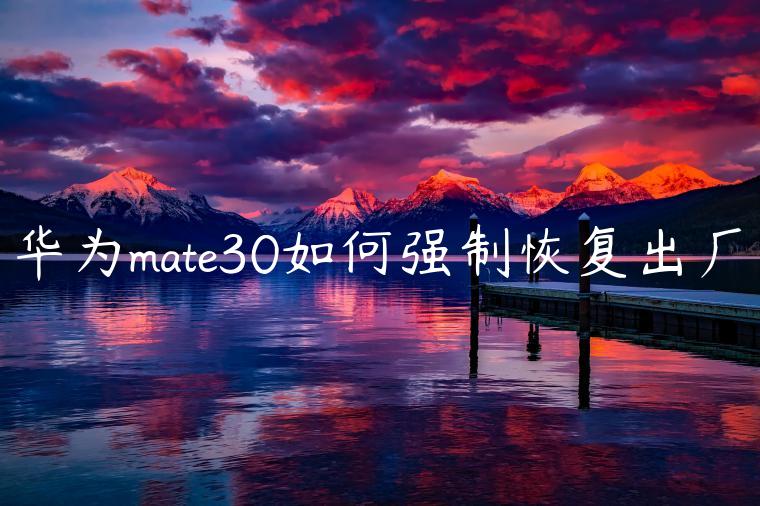 华为mate30如何强制恢复出厂