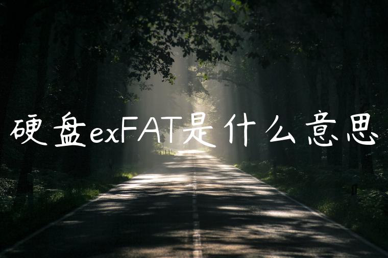 硬盘exFAT是什么意思