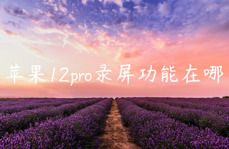 苹果12pro录屏功能在哪