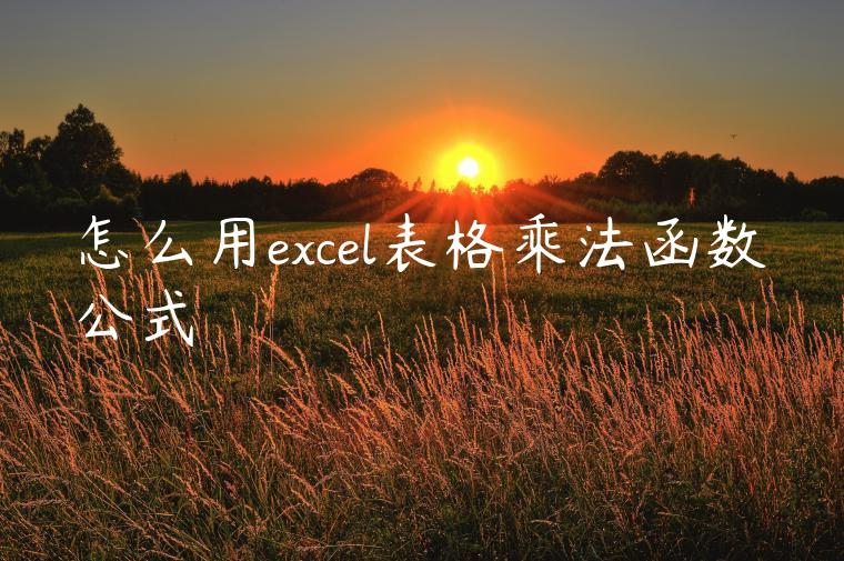 怎么用excel表格乘法函数公式