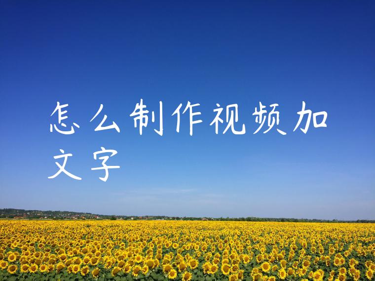 怎么制作视频加文字