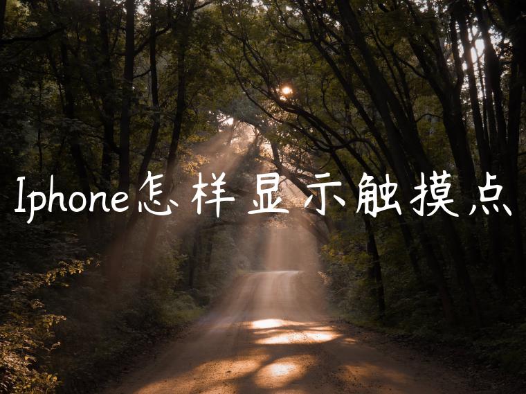 Iphone怎样显示触摸点