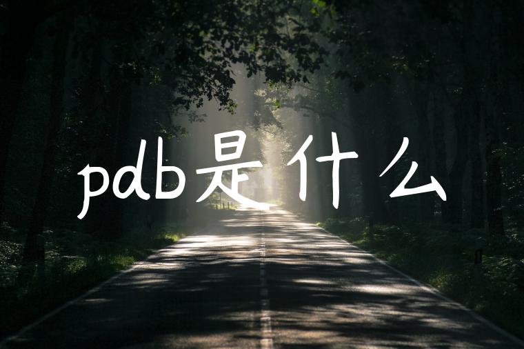 pdb是什么