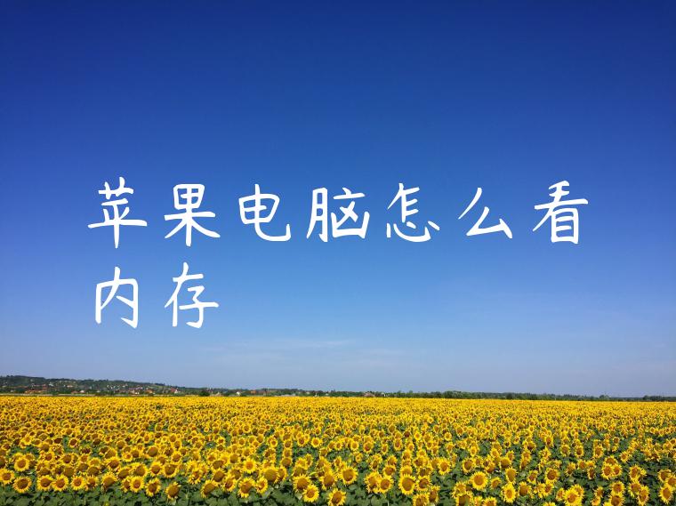 苹果电脑怎么看内存