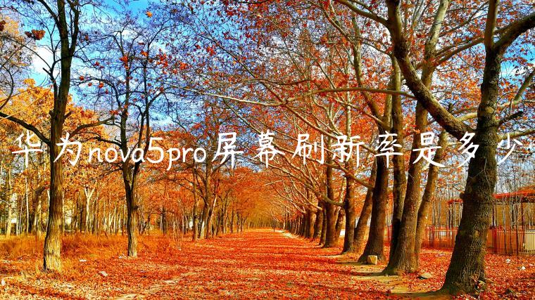 华为nova5pro屏幕刷新率是多少