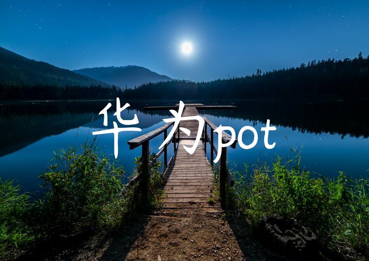 华为pot