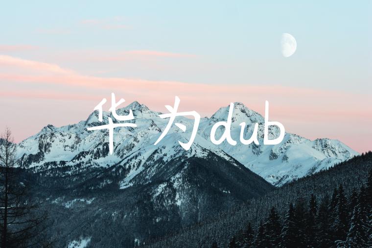 华为dub