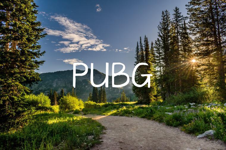 PUBG