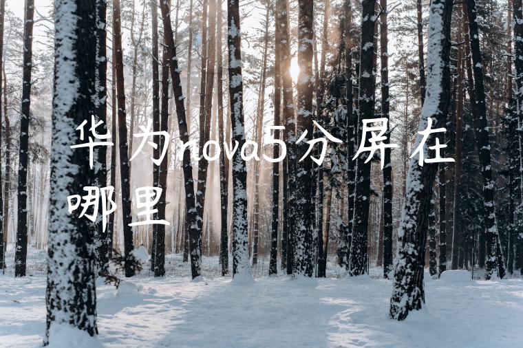 华为nova5分屏在哪里