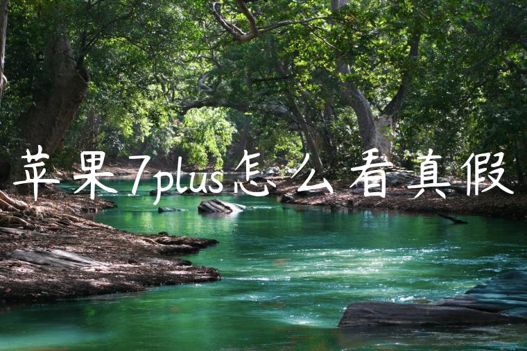 苹果7plus怎么看真假