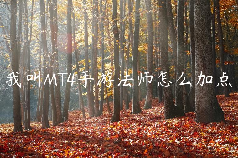 我叫MT4手游法师怎么加点