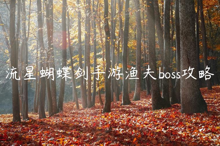 流星蝴蝶剑手游渔夫boss攻略