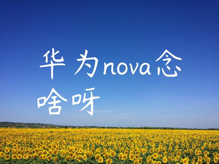 华为nova念啥呀