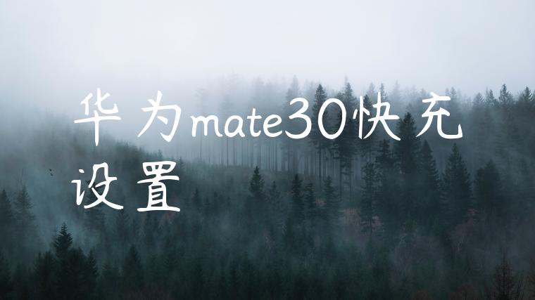 华为mate30快充设置