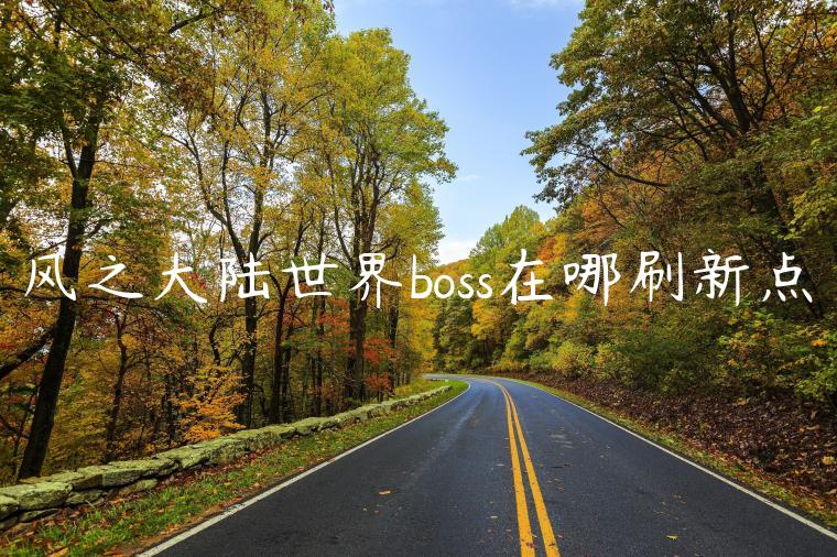 风之大陆世界boss在哪刷新点