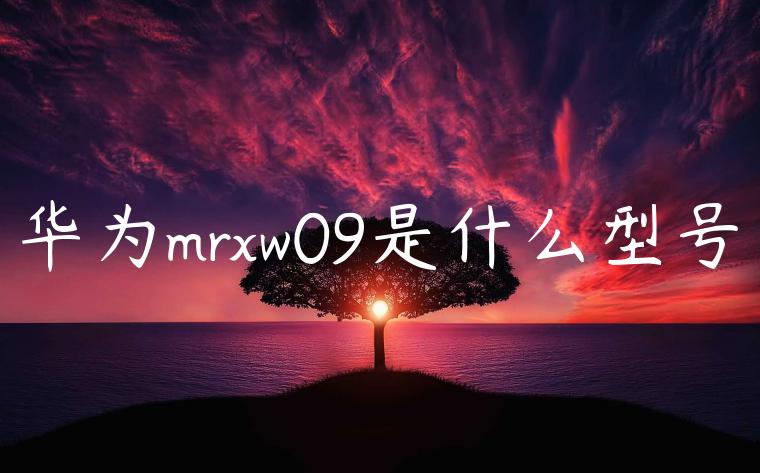 华为mrxw09是什么型号