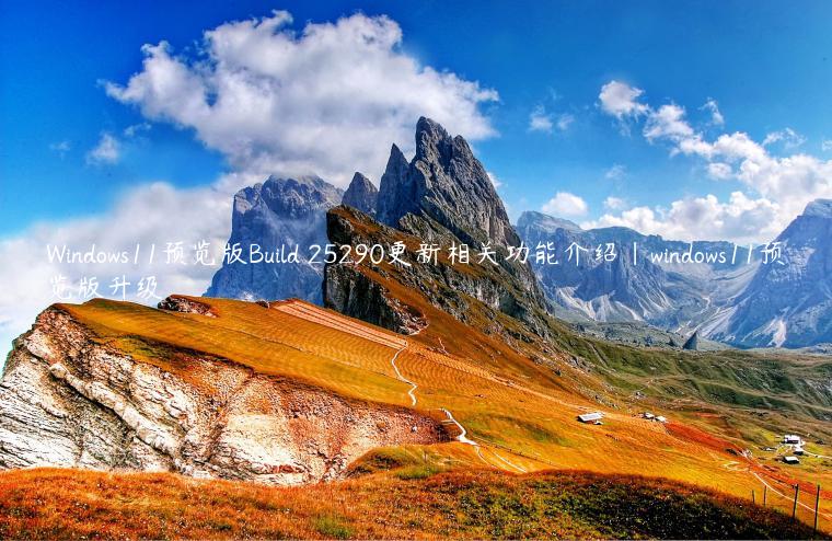 Windows11预览版Build 25290更新相关功能介绍|windows11预览版升级