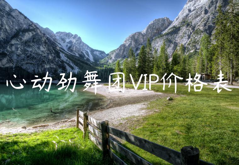 心动劲舞团VIP价格表