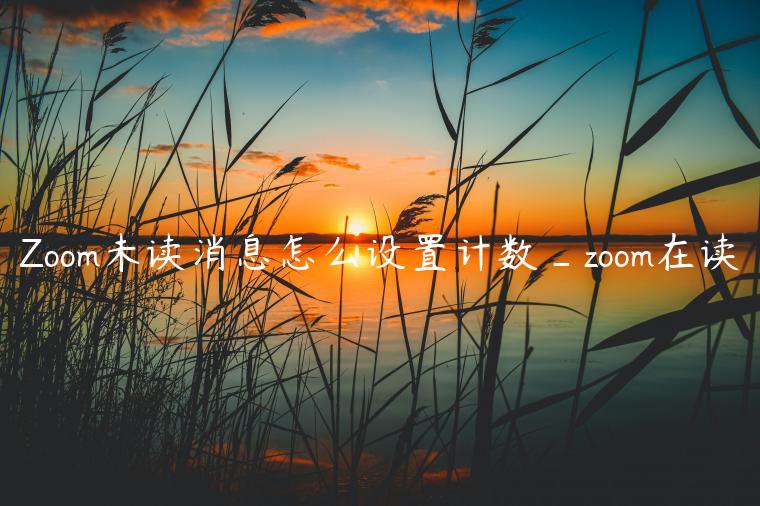 Zoom未读消息怎么设置计数_zoom在读