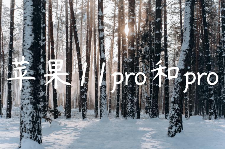 苹果11pro和pro