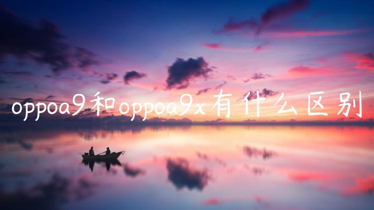 oppoa9和oppoa9x有什么区别